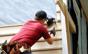 Shed Removal in Nevada, TX